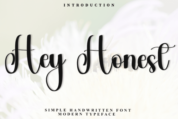 Hey Honest: A Festive Script Font for Editorial Design and Holiday-Themed Typography