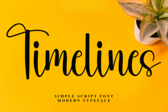 Timelines: A Soft, Eye-Catching Script Font for Handmade Labels, Invitations, and More
